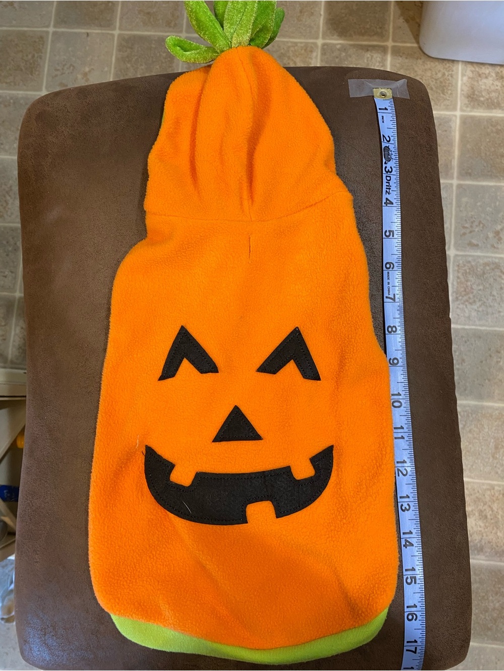Martha Stewart Orange Pumpkin Jack-O'-Lantern Dog Hoodie with Green Top